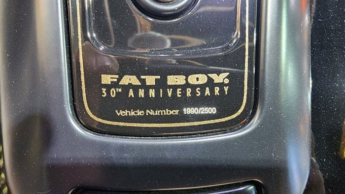 2020 HARLEY-DAVIDSON 2020 Harley-davidson 1900CC FLFBS FAT BOY ANNIVERSARY (114) CRUISER