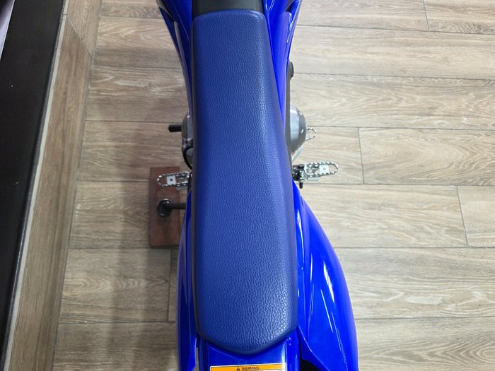 2025 Yamaha TTR50E BLUE