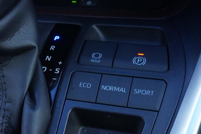 2021 Toyota RAV4 Cruiser