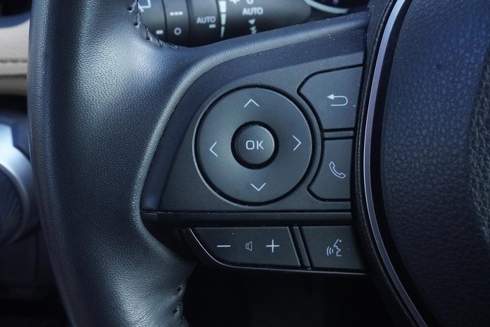 2021 Toyota RAV4 Cruiser