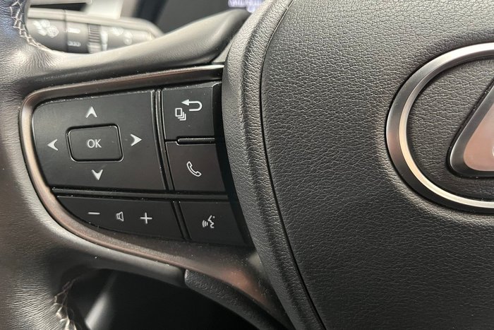 2020 Lexus UX UX200 Sport Luxury