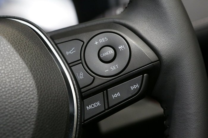 2024 Toyota RAV4 Cruiser