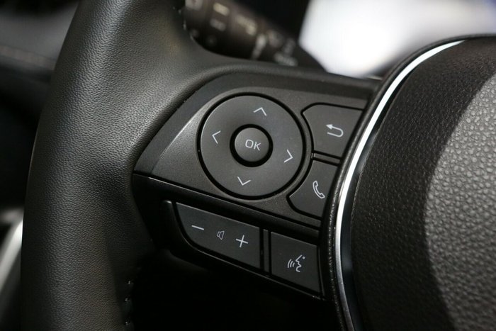 2024 Toyota RAV4 Cruiser