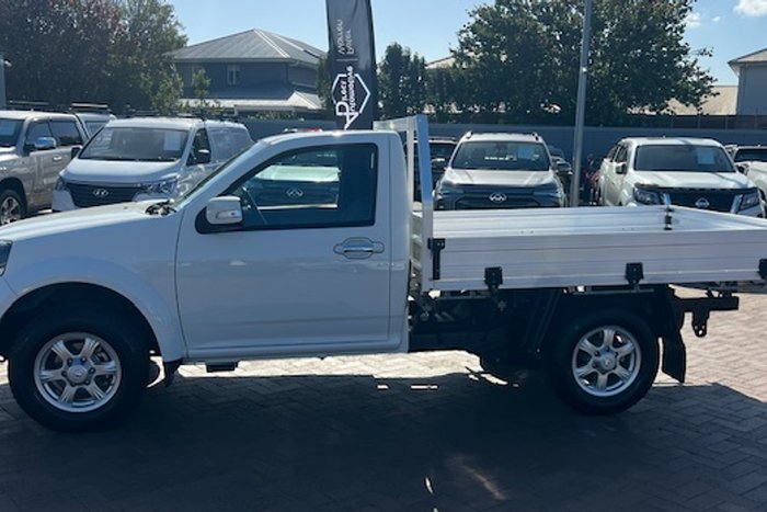 2020 Great Wall Steed