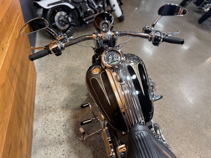 2008 HARLEY-DAVIDSON FXSTSSE S/EAGLE SPRINGER