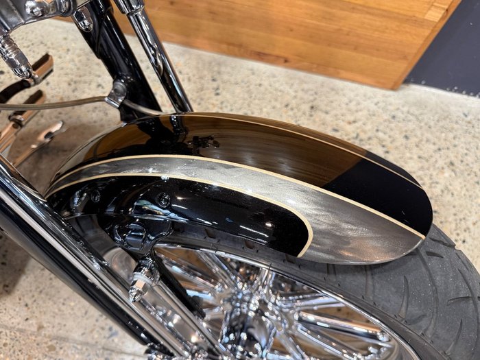 2008 HARLEY-DAVIDSON FXSTSSE S/EAGLE SPRINGER