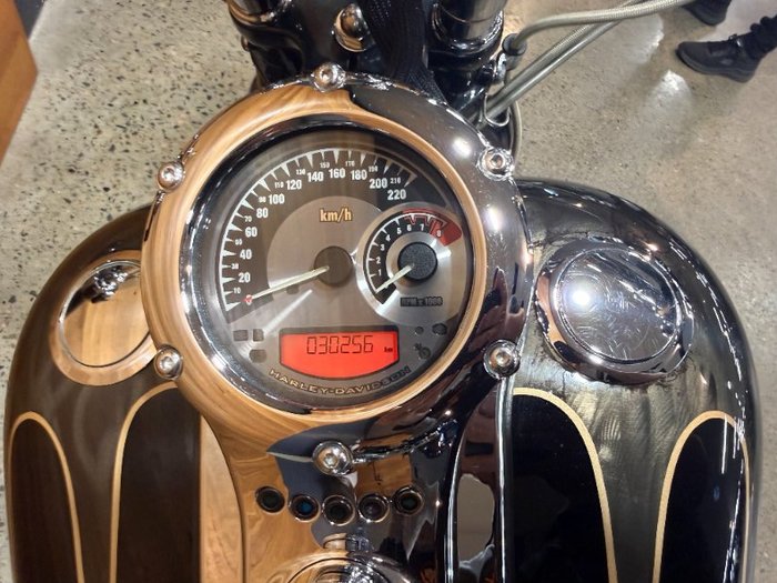 2008 HARLEY-DAVIDSON FXSTSSE S/EAGLE SPRINGER