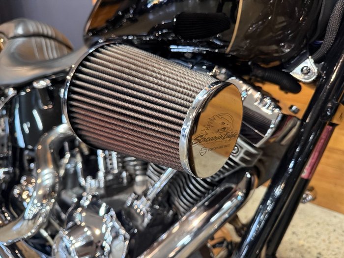 2008 HARLEY-DAVIDSON FXSTSSE S/EAGLE SPRINGER