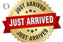 2024 Nissan Navara PRO-4X Warrior D23 MY24 4X4 Dual Range White Pearl