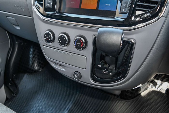 2023 LDV V80
