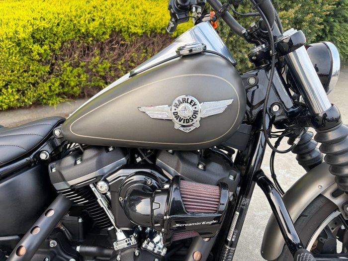 2018 HARLEY-DAVIDSON FXBB STREET BOB Grey