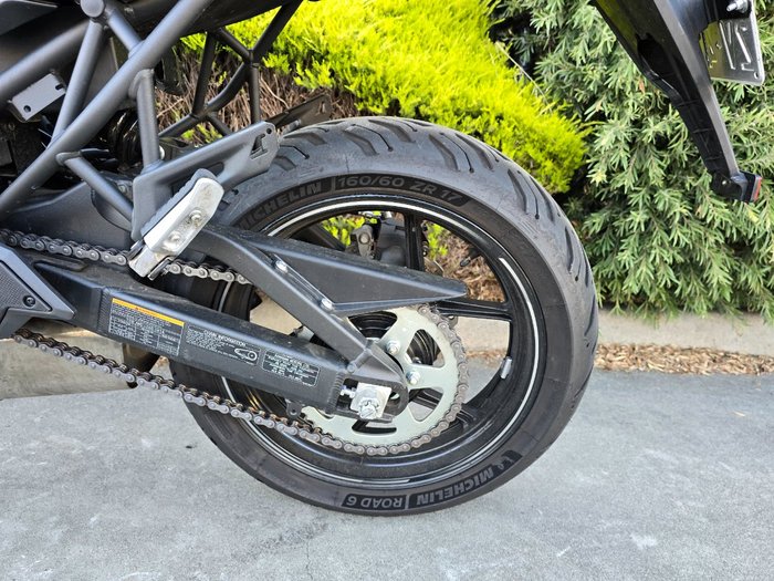 2023 Kawasaki VERSYS 650L (KLE650H) Green