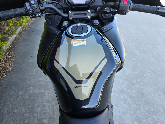 2023 Kawasaki VERSYS 650L (KLE650H) Green