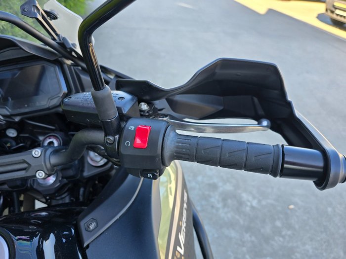 2023 Kawasaki VERSYS 650L (KLE650H) Green