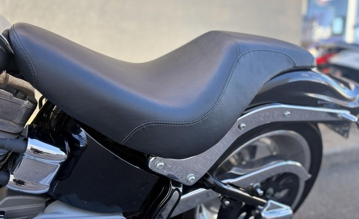 2010 Harley-Davidson Softail Standard 1584 EFI (FXSTI)