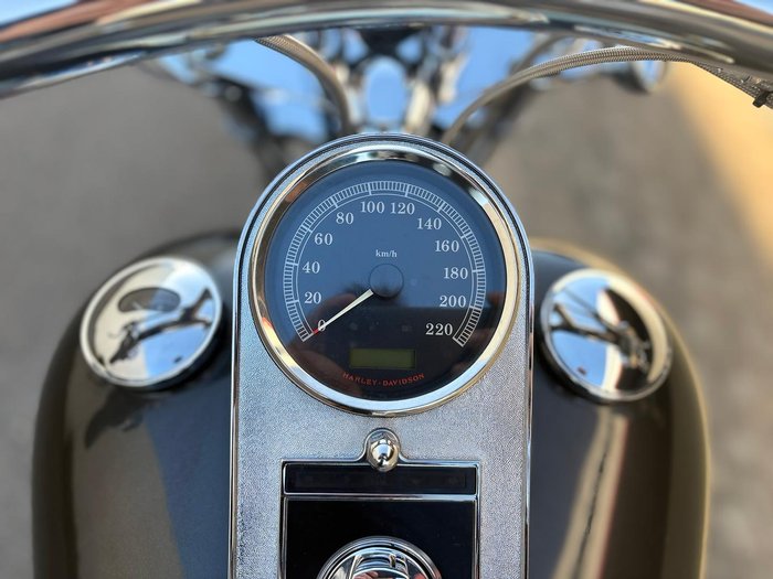 2010 Harley-Davidson Softail Standard 1584 EFI (FXSTI)