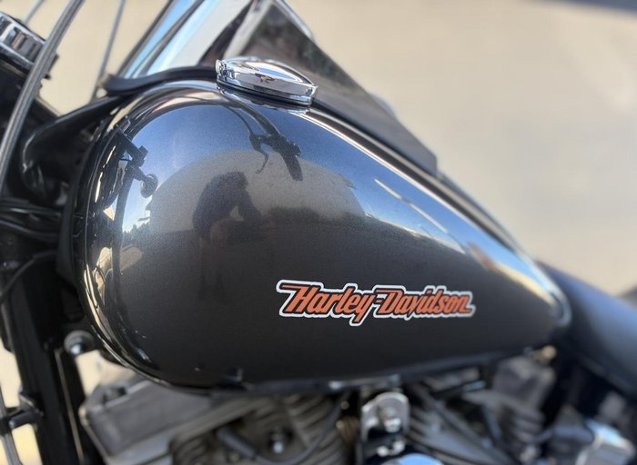 2010 Harley-Davidson Softail Standard 1584 EFI (FXSTI)