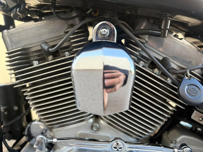 2010 Harley-Davidson Softail Standard 1584 EFI (FXSTI)
