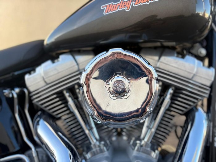2010 Harley-Davidson Softail Standard 1584 EFI (FXSTI)