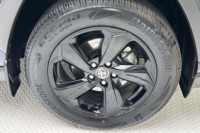 2019 Toyota RAV4 Cruiser