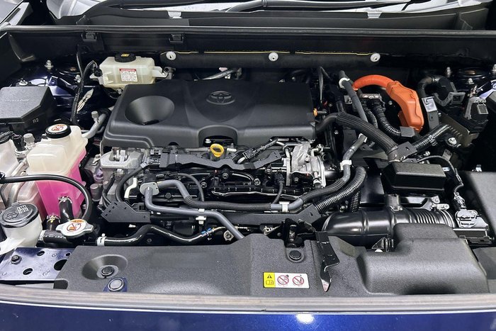 2019 Toyota RAV4 Cruiser