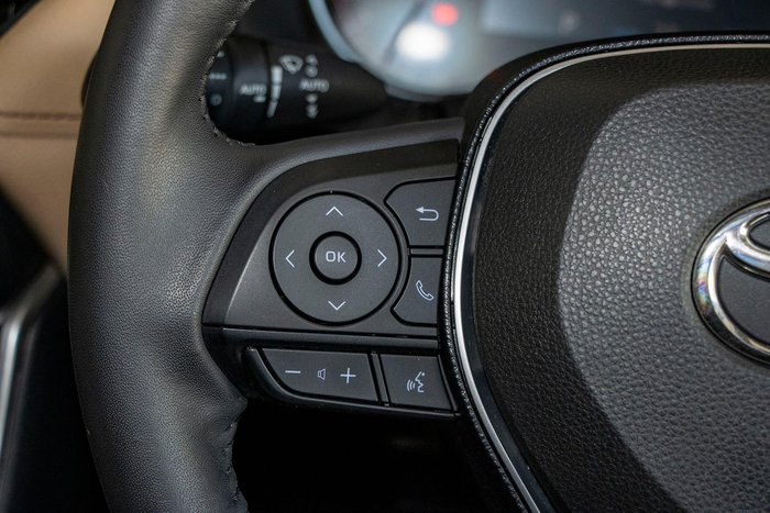 2021 Toyota RAV4 Cruiser