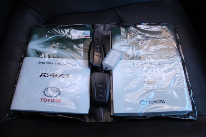 2019 Toyota RAV4 Cruiser