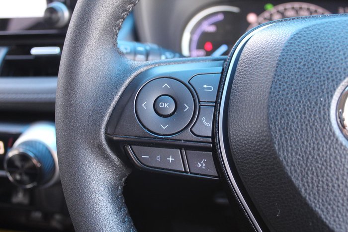 2019 Toyota RAV4 Cruiser