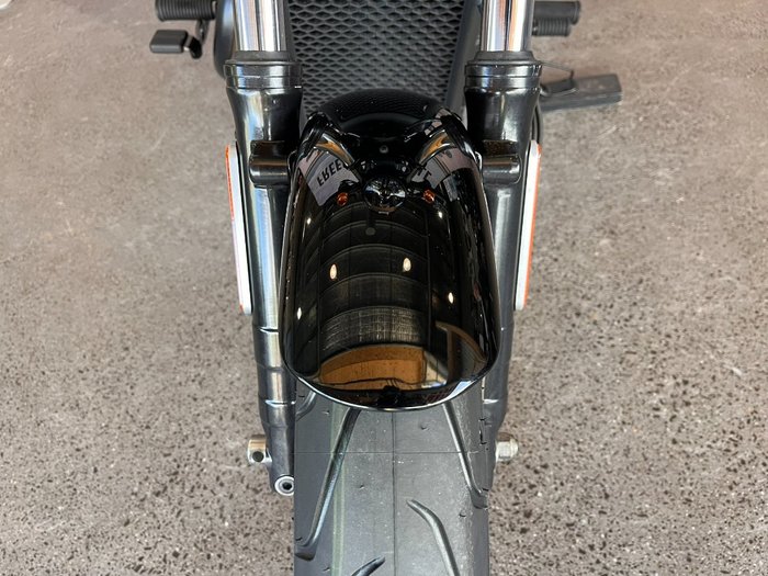 2019 HARLEY-DAVIDSON XG500 STREET 500
