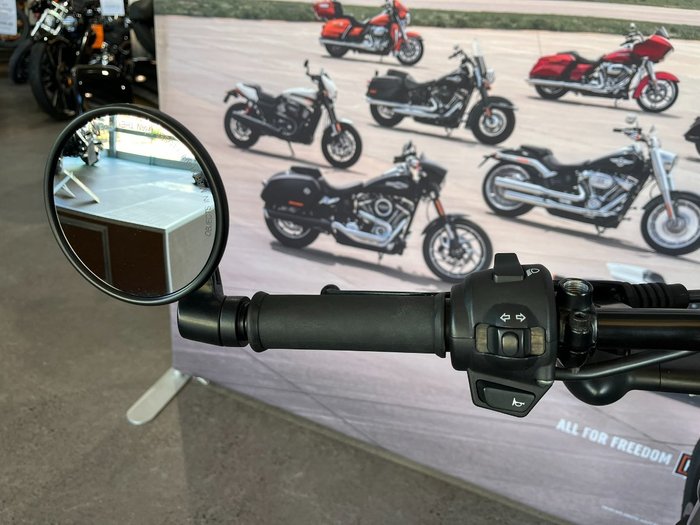 2019 HARLEY-DAVIDSON XG500 STREET 500