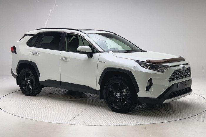 2020 Toyota RAV4 Cruiser