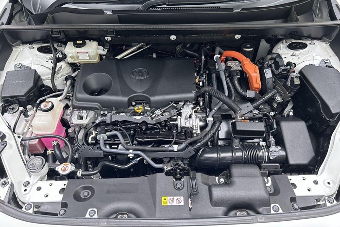 2020 Toyota RAV4 Cruiser