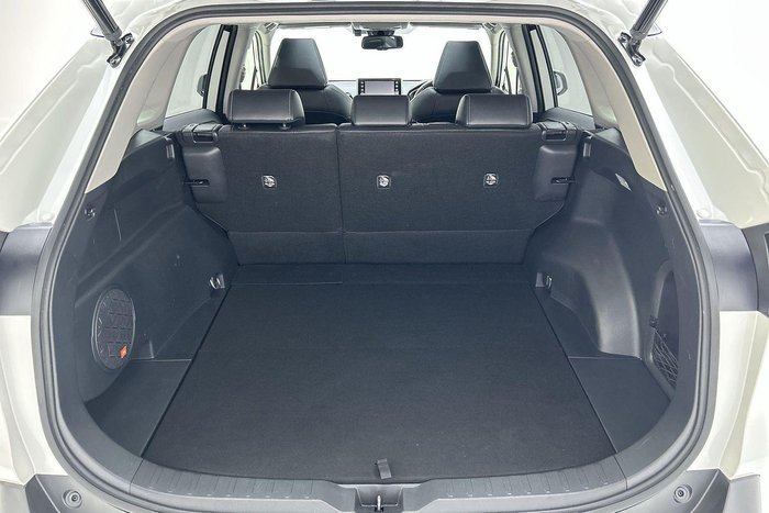 2020 Toyota RAV4 Cruiser