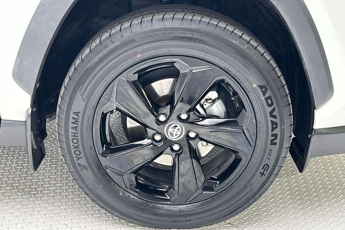 2020 Toyota RAV4 Cruiser