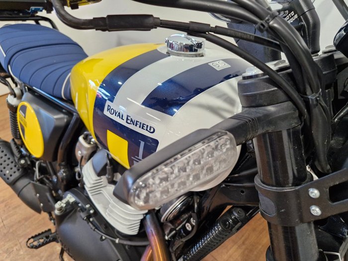 2025 Royal Enfield BEAR 650 YELLOW