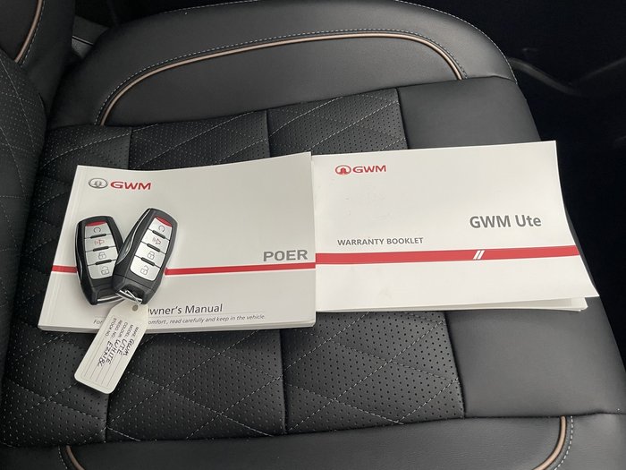 2022 GWM Ute Cannon-X