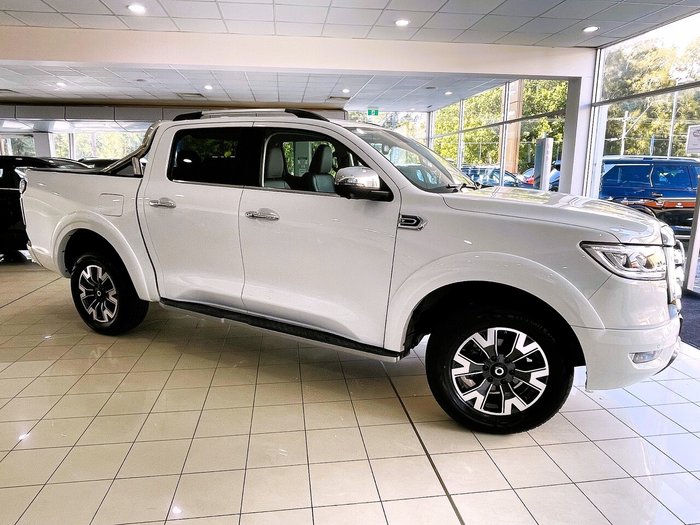 2022 GWM Ute Cannon-X