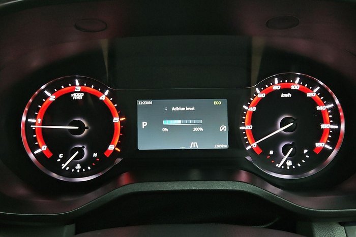 2025 LDV Deliver 9 LWB Mid Roof