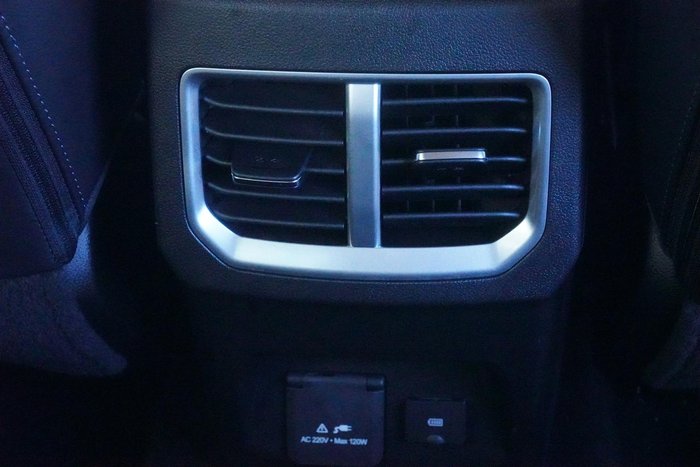 2021 GWM Ute Cannon-L