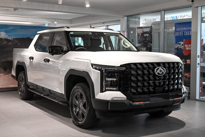2025 LDV Terron 9