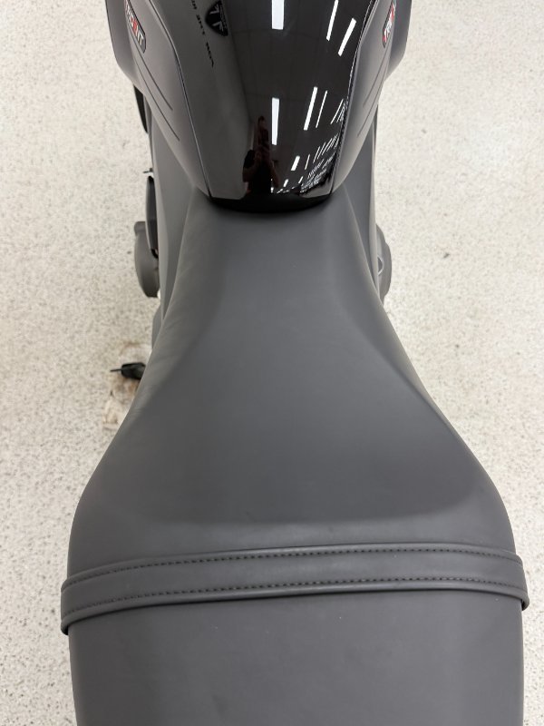 2025 Triumph 2025 TRIUMPH 660CC TRIDENT LAMS Black