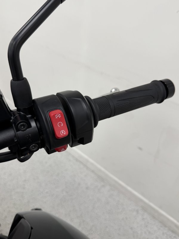 2025 Triumph 2025 TRIUMPH 660CC TRIDENT LAMS Black