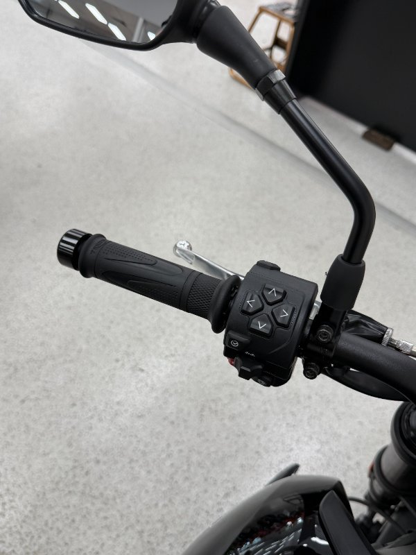 2025 Triumph 2025 TRIUMPH 660CC TRIDENT LAMS Black