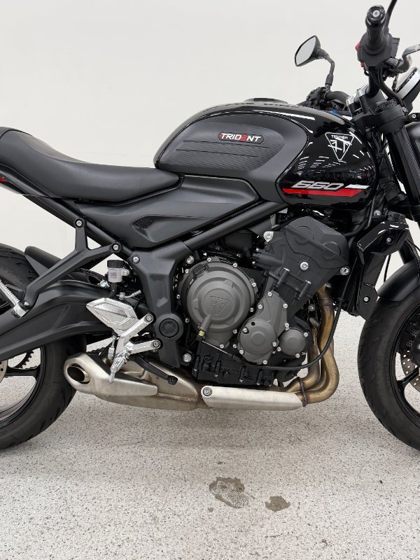 2025 Triumph 2025 TRIUMPH 660CC TRIDENT LAMS Black