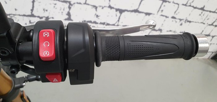 2026 Triumph Scrambler 900 Scrambler Grey