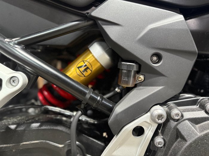 2025 BMW Motorrad F 800 GS RACINGBLUE METALLIC