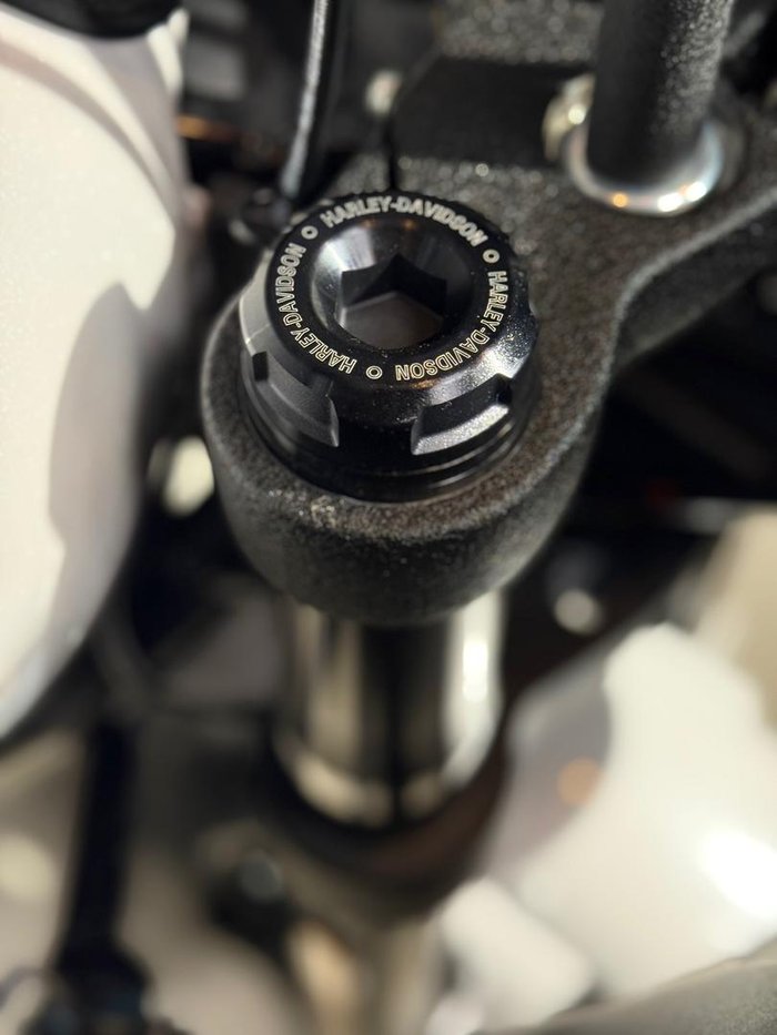 2026 Harley-Davidson Low Rider ST 117 (FXLRST) Softail White