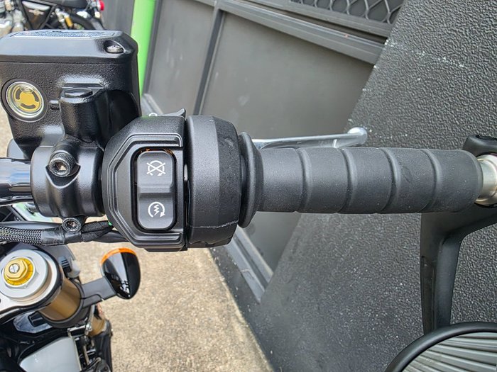 2025 Indian SCOUT 101 LIMITED GHOST WHITE METALLIC