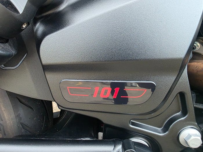 2025 Indian SCOUT 101 LIMITED GHOST WHITE METALLIC