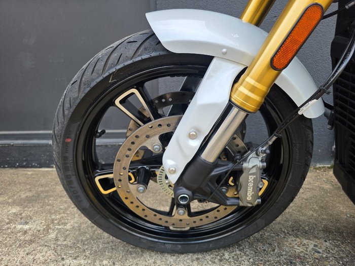 2025 Indian SCOUT 101 LIMITED GHOST WHITE METALLIC